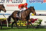 Freedman Happy With Proud Miss Stakes Duo