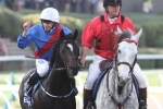 MVRC lists international invitees for 2015 Cox Plate MVRC lists international invitees for 2015 Cox Plate