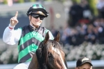 Cavalryman Scratched From 2014 Melbourne Cup Cavalryman Scratched From 2014 Melbourne Cup
