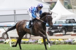 Fontiton A Fitter Horse Ahead Of Blue Diamond Fillies Prelude