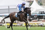 Fontiton On Track For Blue Diamond Prelude