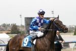 Fontiton well treated at Blue Diamond Preview barrier draw