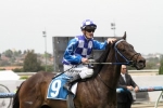 Fontiton well treated at Blue Diamond Preview barrier draw Fontiton well treated at Blue Diamond Preview barrier draw
