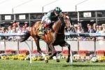 Emirates Stakes: Thompson Thrilled With Hooked Emirates Stakes: Thompson Thrilled With Hooked