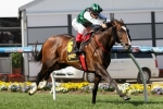 Hooked Comfortably Wins 2014 Crystal Mile