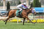 2014 Crown Oaks Tips: Lumosty and Go Indy Go Tough To Split 2014 Crown Oaks Tips: Lumosty and Go Indy Go Tough To Split