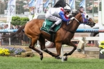 Stradbroke Handicap An Option For Lumosty