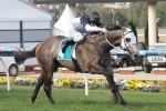 2015 Australian Guineas to Figure for Moonovermanhattan 2015 Australian Guineas to Figure for Moonovermanhattan