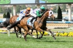 Au Revoir Without Melbourne Cup Jockey Au Revoir Without Melbourne Cup Jockey