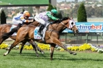 11 In Moonee Valley Gold Cup Field 11 In Moonee Valley Gold Cup Field