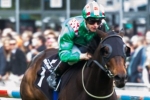 Blinkers back on Savvy Nature in Royal Randwick Guineas