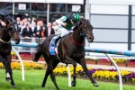 Shamus Award Working Towards Australian Guineas