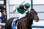 Autumn jockey for Shamus Award to be decided