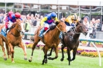 Schofield Not Happy With Cornrow’s Vain Stakes Barrier Schofield Not Happy With Cornrow’s Vain Stakes Barrier