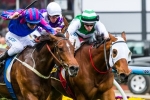 Emirates Stakes Next for Crystal Mile Winner Toydini Emirates Stakes Next for Crystal Mile Winner Toydini