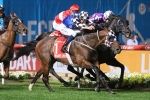 Brave Smash in winning form for 2018 VRC Sprint Classic
