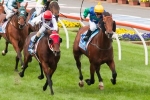 Magic Millions given task of selling Patinack Farm Magic Millions given task of selling Patinack Farm