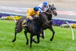 Silent Achiever Straight Into 2013 Melbourne Cup Field