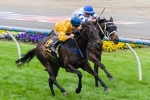 Carrick To Return To Racing At Randwick On Saturday Carrick To Return To Racing At Randwick On Saturday