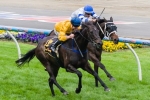 Track gets extra water for Caulfield Cup Day