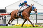 Super Cool Impresses In Early Trackwork Super Cool Impresses In Early Trackwork
