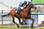 Pick the Cox Plate Winner Pick the Cox Plate Winner
