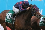 Waterhouse looking for another VRC St Leger win with Transact