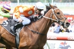 Who Shot Thebarman into the Melbourne Cup after Moonee Valley Gold Cup win