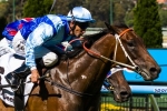 Improving stayer Zephyron steps up to 2200m of Premier’s Cup