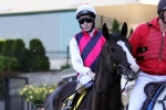 Sweet Emily To Make Stakes Debut In Kensington Stakes Sweet Emily To Make Stakes Debut In Kensington Stakes