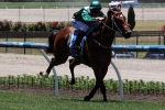 Headwater’s Silver Slipper Odds Shorten