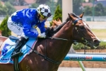 First Class Australian Guineas Work Out for Chivalry