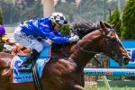 Boss Confident of Relevant Caulfield Guineas Form for Chivalry
