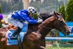 Boss Confident of Relevant Caulfield Guineas Form for Chivalry Boss Confident of Relevant Caulfield Guineas Form for Chivalry