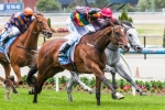 Jessy Belle To Contest Inglis Guineas Jessy Belle To Contest Inglis Guineas