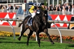 Dubai World Cup To Be Run On Dirt Dubai World Cup To Be Run On Dirt