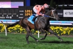 Black Caviar Statue To Be Erected In Hometown