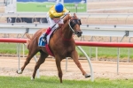 Gold Force To Resume In Mitchelton Wines Handicap Gold Force To Resume In Mitchelton Wines Handicap