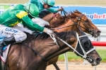 Instrumentalist Storms Home Late To Win 2014 Mornington Cup