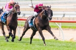 Stradbroke Handicap 2015: Knoydart Could Be Scratched Stradbroke Handicap 2015: Knoydart Could Be Scratched