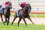 Knoydart Impresses In Trackwork Ahead Of BTC Cup