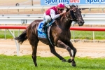 Knoydart To Take On Leading Queensland Sprinters In BTC Cup