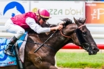 Knoydart hit and run mission in Victory Stakes