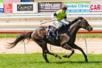 Tuscan Fire Worthy Of His Place In Caulfield Cup Field