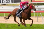 McShane scores biggest win with Norsqui in Adelaide Cup