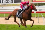 McShane scores biggest win with Norsqui in Adelaide Cup McShane scores biggest win with Norsqui in Adelaide Cup