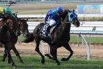 Banca Mo Headlines 2015 Ipswich Cup Field