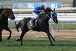 Banca Mo To Start Brisbane Cup Campaign In Hollindale Stakes