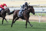 Jurasound Ready for Australasian Oaks Test Jurasound Ready for Australasian Oaks Test