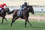 Jurasound Ready for Australasian Oaks Test